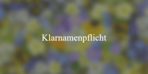 Klarnamenpflicht in sozialen Netzwerken